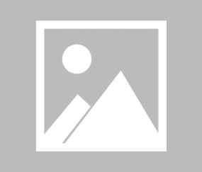 九游娱乐-关于Rookie新星关键助攻表现惊艳，TES未来可期！的信息