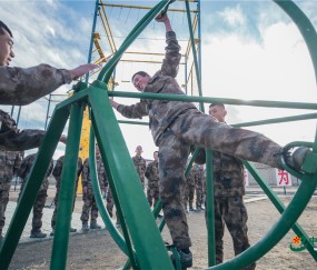 九游-关于Scout连续七场比赛得分超过大胜，日本队挑战极限！的信息